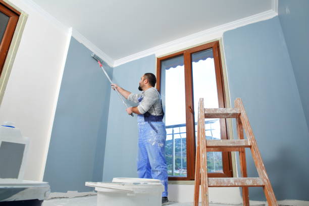 Best Post-Construction Mold Inspection  in Park City, MT