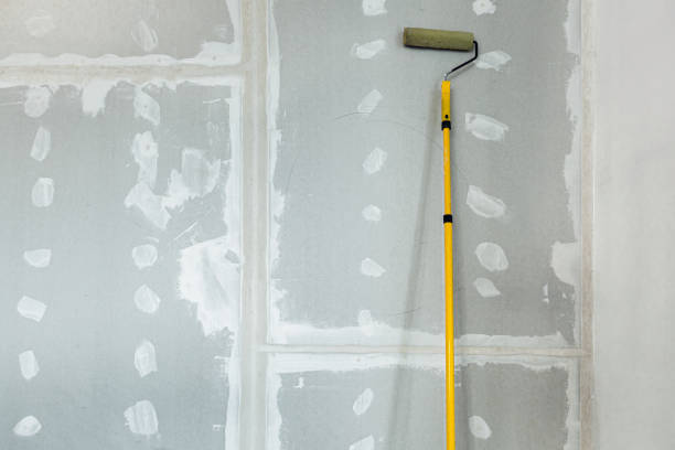Mold Odor Removal Services in Park City, MT
