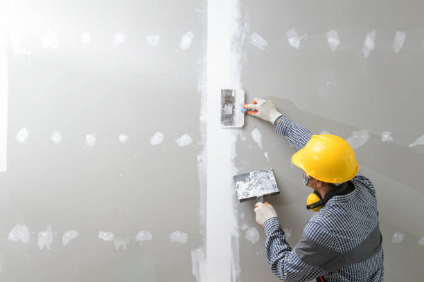 Best Mold Odor Removal Services  in Park City, MT