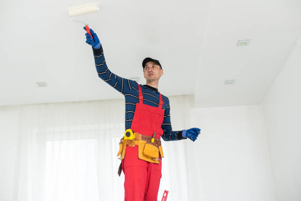 Best HVAC Mold Inspection and Cleaning  in Park City, MT