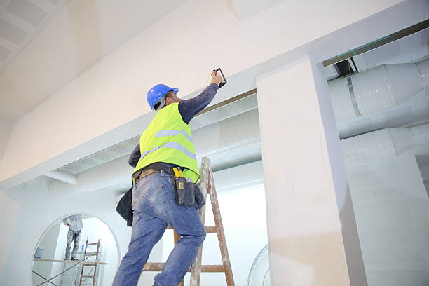 Best Biohazard Mold Removal  in Park City, MT