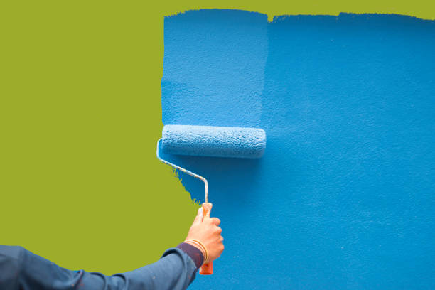 Best Water Damage & Mold Remediation  in Park City, MT