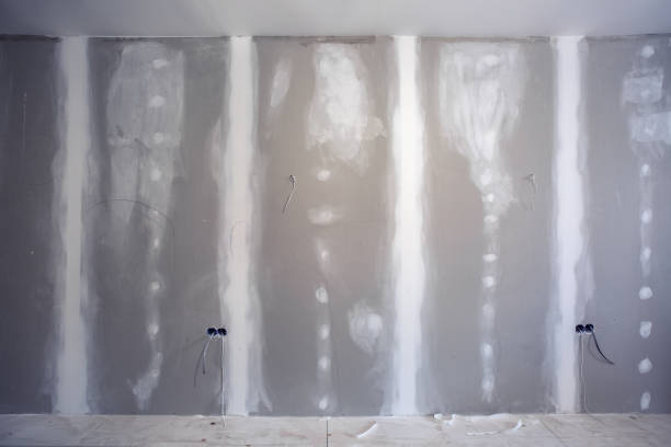 Best Mold Damage Restoration  in Park City, MT